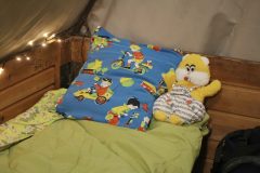 IMG_7203_t