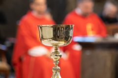 a-IMG_7891
