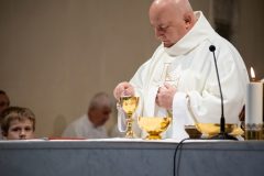 a-IMG_8704