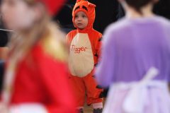img_2058
