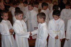 prij11