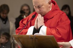 a-IMG_3347